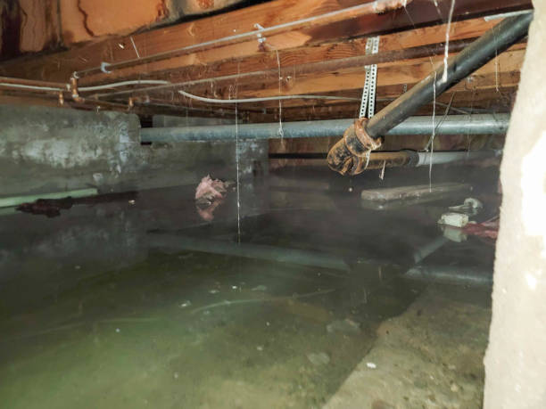 Best Fire Damage Restoration  in Killeen, TX