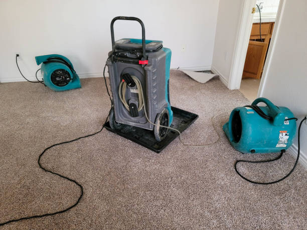 Best 24/7 water damage repair  in Killeen, TX