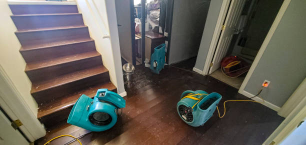 Best Water damage restoration near me  in Killeen, TX