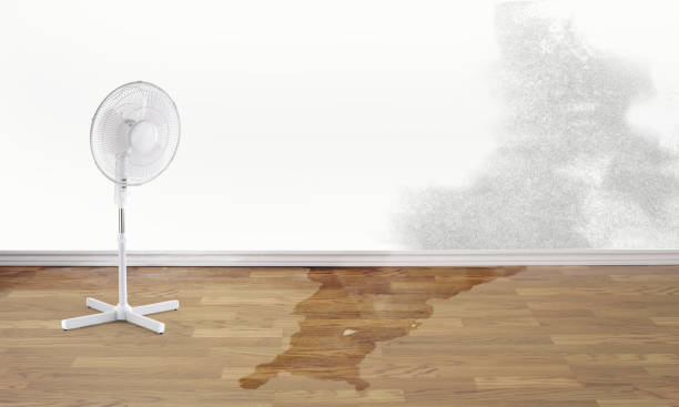 Best Local water damage restoration  in Killeen, TX