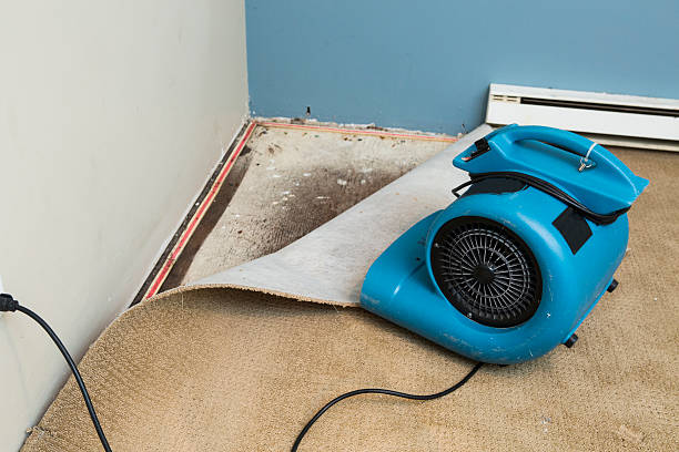 Local water damage restoration in Killeen, TX